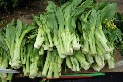 Bok Choy / Pak Choi