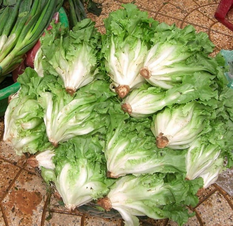 Escarole