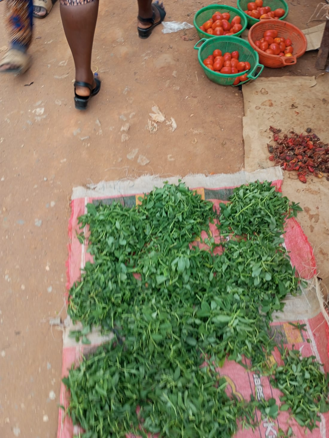 Fenugreek / Methi