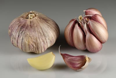 Garlic (Greens / Bulb)