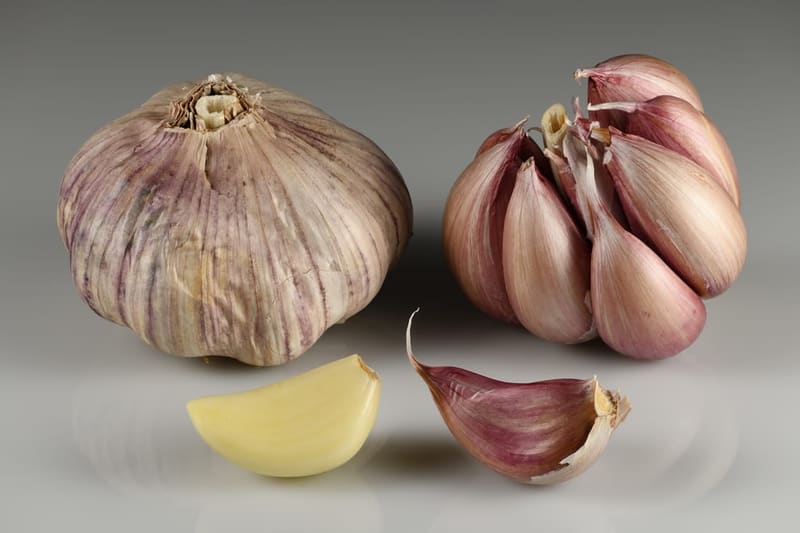 Garlic (Greens / Bulb)