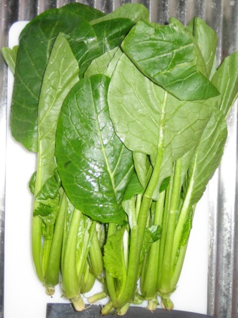 Komatsuna (Mustard Spinach)