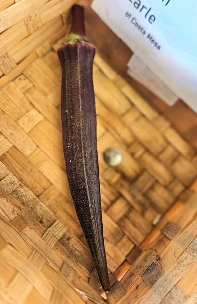 Okra