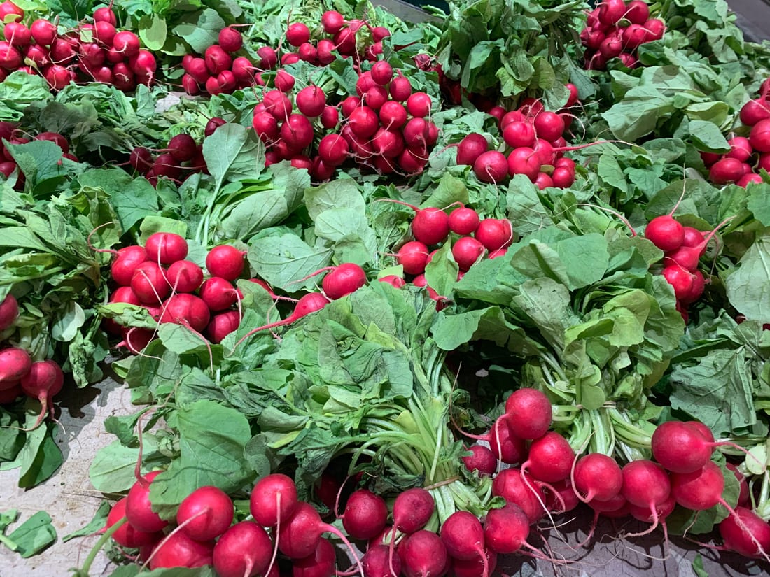 Radish