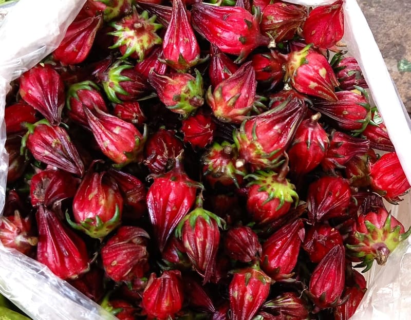 Roselle